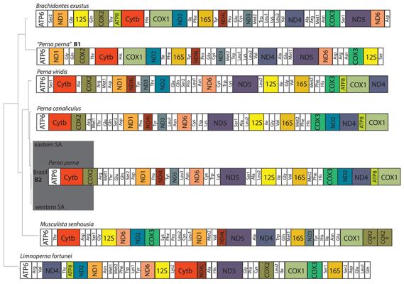 💻 César P., photo 1