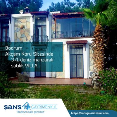 Semih Doguer, photo 2