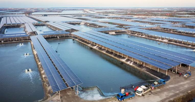 Robert Ohling, photo 1