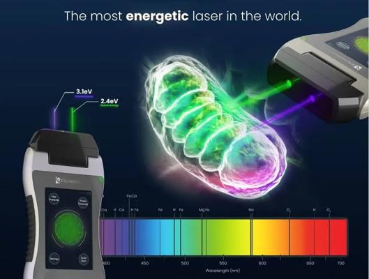 Connie Hertel, photo 1