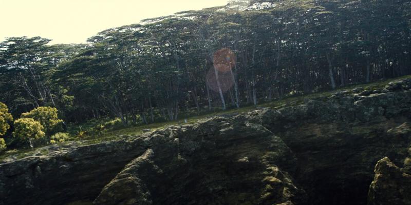 Michael Breymann, photo 1