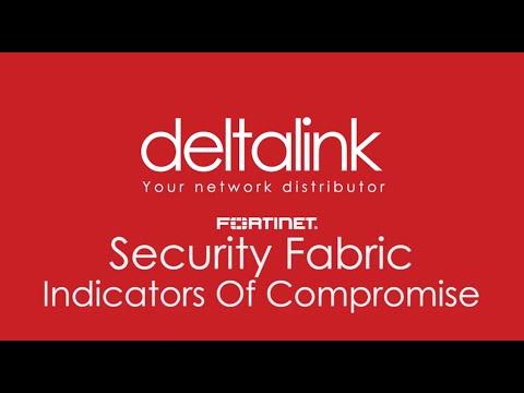 Tom Van Gramberen, photo 2