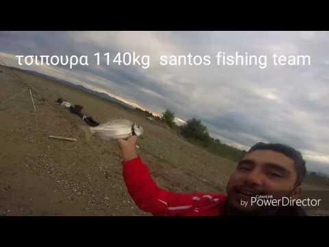 Markos Vidalis, photo 1