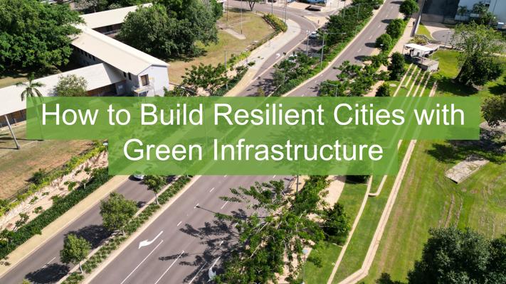 David Bravant, photo 1