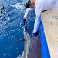 Nathan Florian, photo 2