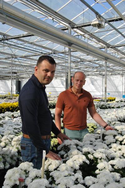 Rob van der Helm, photo 1