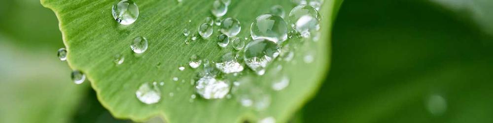 Kimberley Atsalinos, photo 1