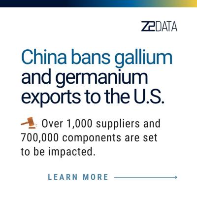 Roya Ansari, photo 2