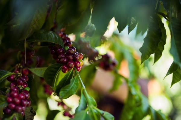 Anne Hermsen, photo 1