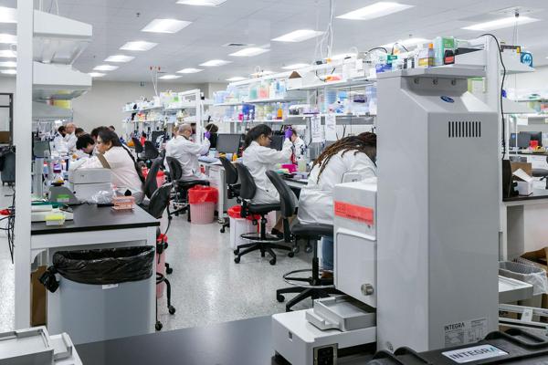 Brenda Royals, photo 2