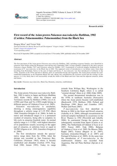 Marinel Micu, photo 1