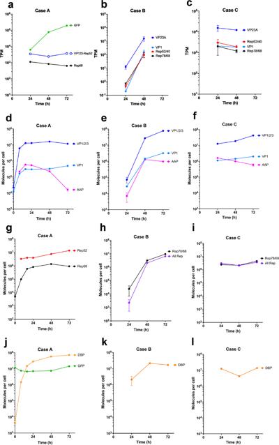 Patrick Gerlach, photo 2