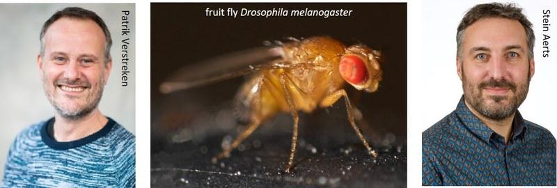 Adrian Thomas, photo 2