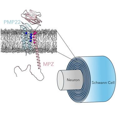 Gabe Othman, photo 1