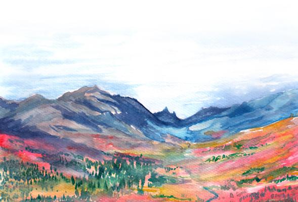 Jesse Nee-Vogelman, photo 2