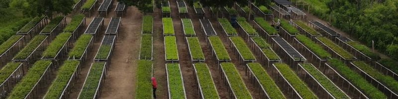 Tasso Torres, photo 2