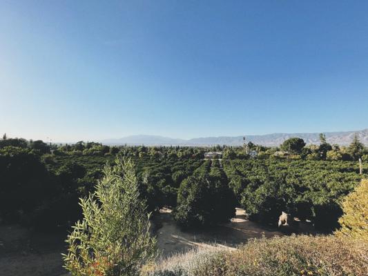 Devin McGloin, photo 1