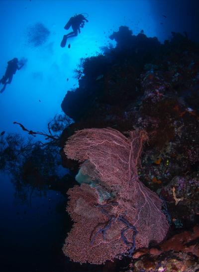 Melisa Agata, photo 2