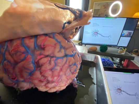 Andrea Rano, photo 2