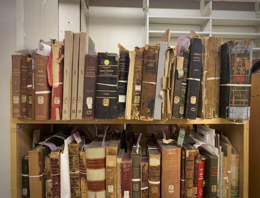 Adrija Henley, photo 1