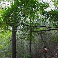 Jean Lorber, photo 1