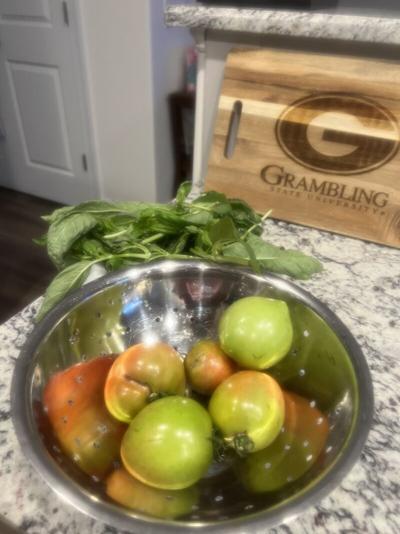 Gloria Johnson, photo 2