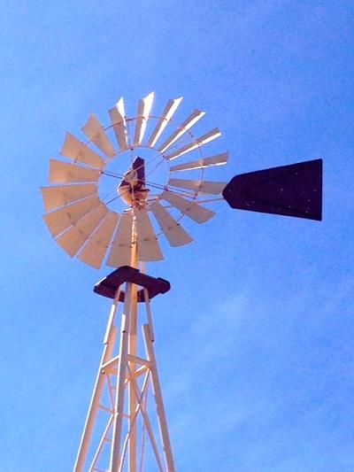 Margo Spellman, photo 2