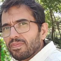 Davood Salehi, photo 2