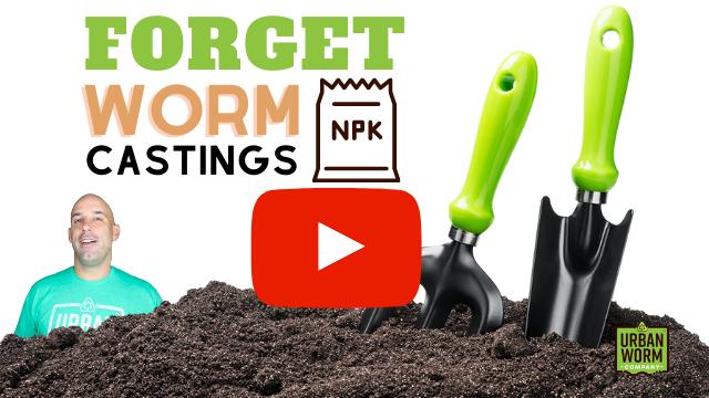 Dan Trzinski, photo 1