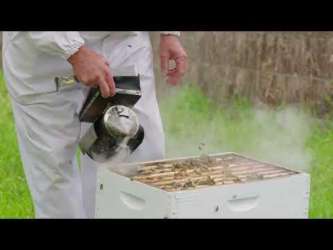 Philipp Krb, photo 1