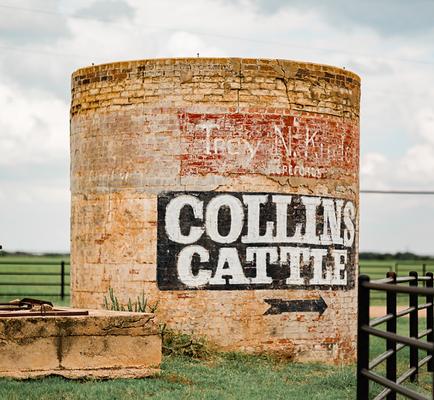 Collins Kuper, photo 2