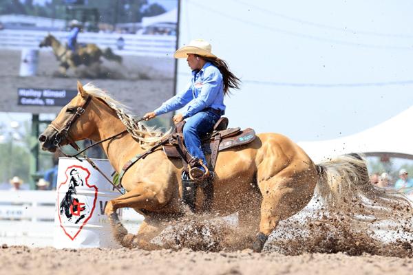 Hayden (Brooks) Sherwood, photo 1