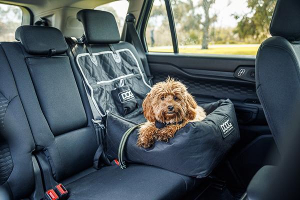 Ellen Dewar, photo 2