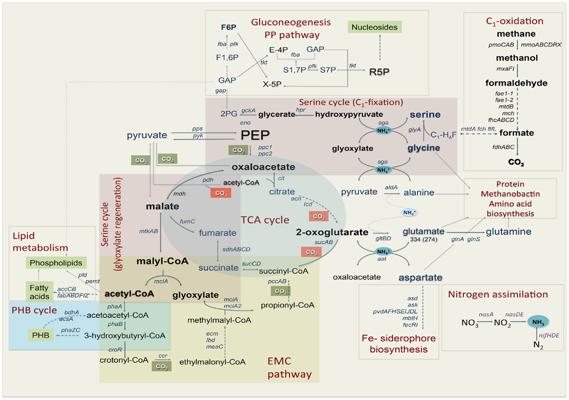 Dave LaBarre, photo 1