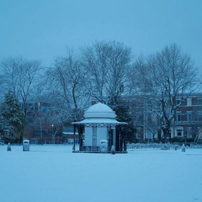 Graham Logsdon, photo 2