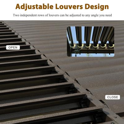 Alida Gagliuffi, photo 2