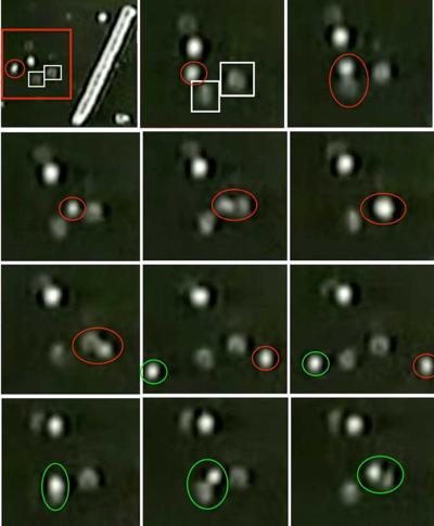 Patrick Impey, photo 1