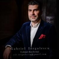 Tiberiu Iorgulescu, photo 2