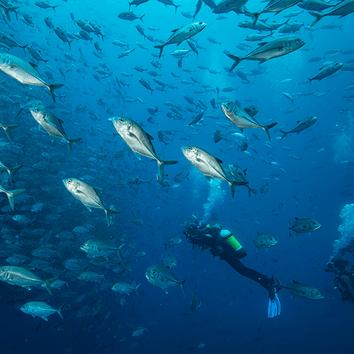 Jac Gautreau, photo 2