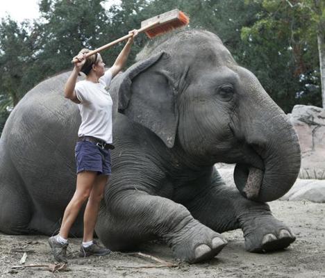 Panya Walker, photo 1