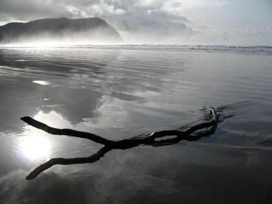 Philip King, photo 1