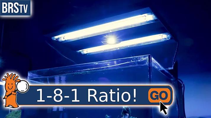 Thomas Parmeter, photo 2