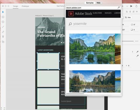 Anirudh Sasikumar, photo 2