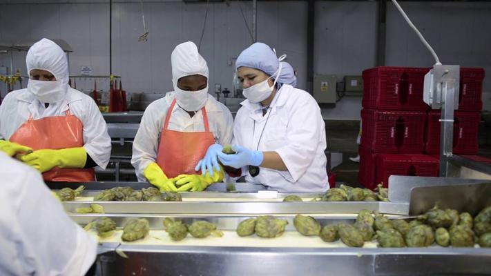 Jacqueline Castillo, photo 1