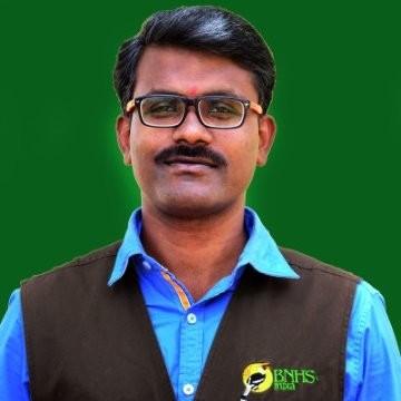 Zarir Karbhari, photo 1