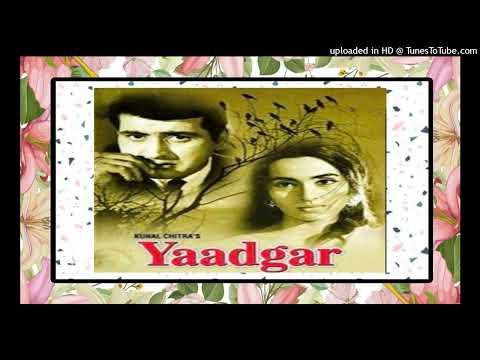 Tara Haniffa, photo 2