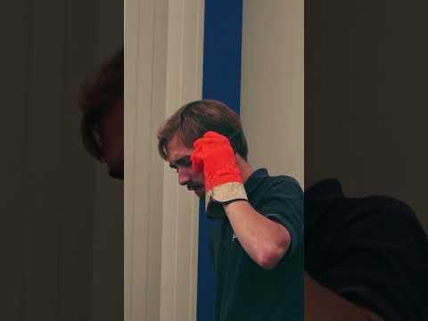 Patrick Prince, photo 1