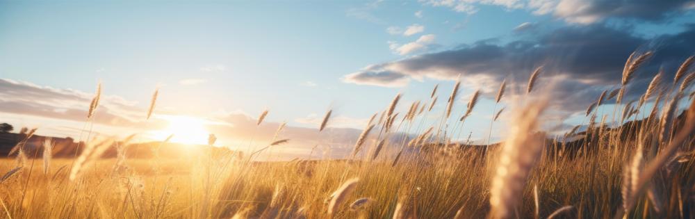 Lucy Strick, photo 1