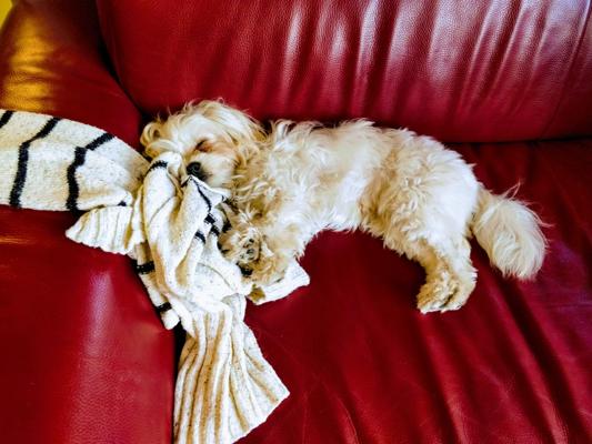 Anna Jagric, photo 2