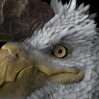 Kasper Stam, photo 2